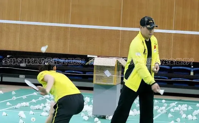 333体育平台官网雷柏科技全球足球运动员数量概览：究竟有多少足球运动员在全世界？