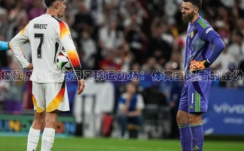 333体育官网app下载赛富乐斯探秘成都仕艾康足球运动场：体育爱好者的胜地