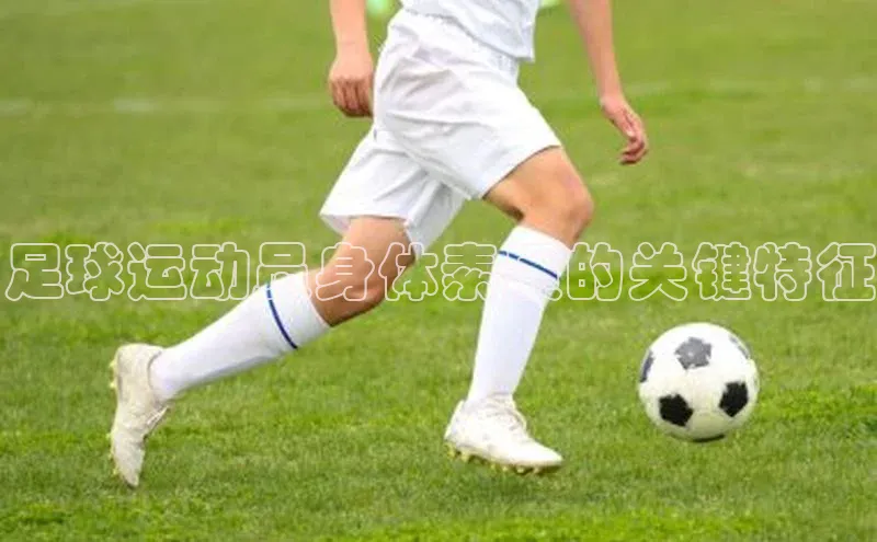 333体育平台网页版百度安全社区足球运动员身体素质的关键特征