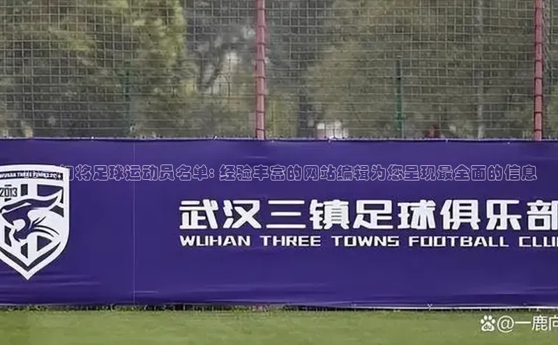 333体育官网入口江铃新能源13号门将足球运动员名单: 经验丰富的网站编辑为您呈现最全面的信息