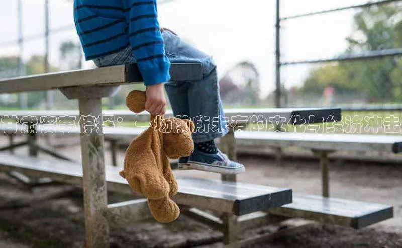 333体育平台网页版壹网壹创甘肃赛事停摆：一场前所未有的文化与经济冲击