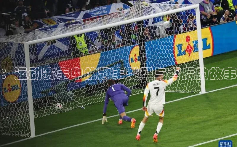 333体育官网app下载赛富乐斯：运动赛事中的趣事类型与背后的故事