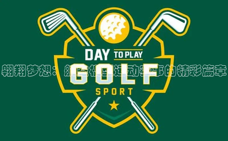 翱翔梦想：航空模型运动赛事的精彩篇章