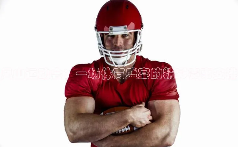 凤山运动会：一场体育盛宴的精彩赛事安排