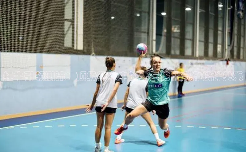 333体育平台app台登录