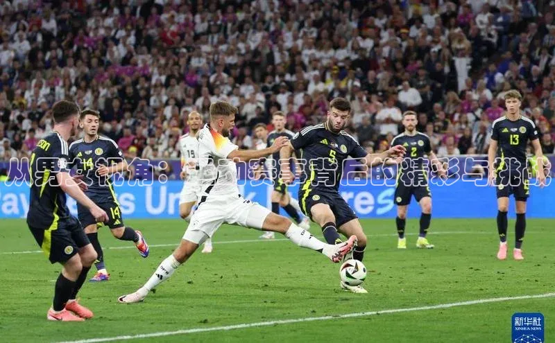 从男女视角：运动赛事背后的精彩与挑战