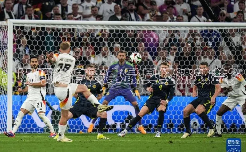 ：哪项体育赛事最具经济效益？