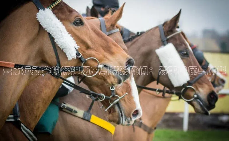云南运动会的辉煌历史与精彩瞬间：赛事回顾与展望