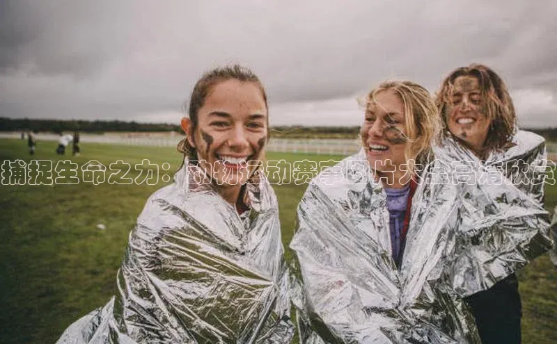 捕捉生命之力：动物运动赛事图片大全高清欣赏