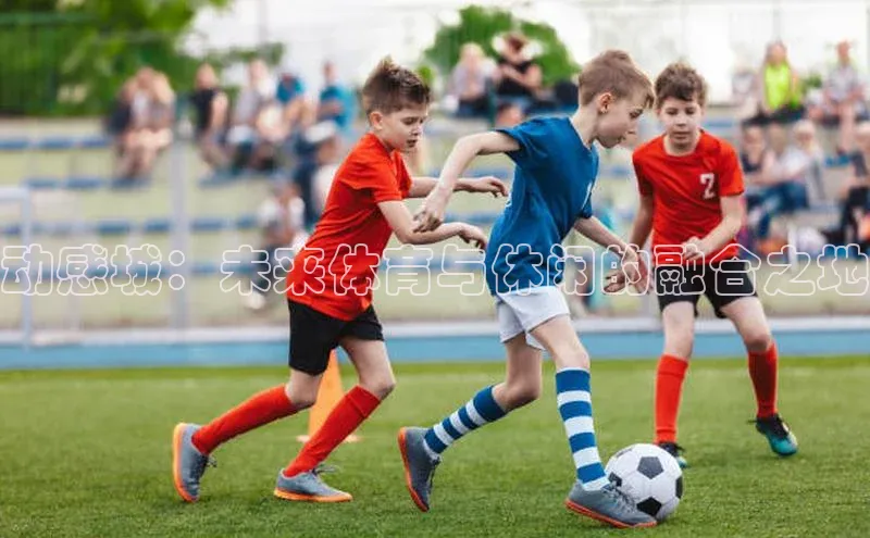 动感城：未来体育与休闲的融合之地