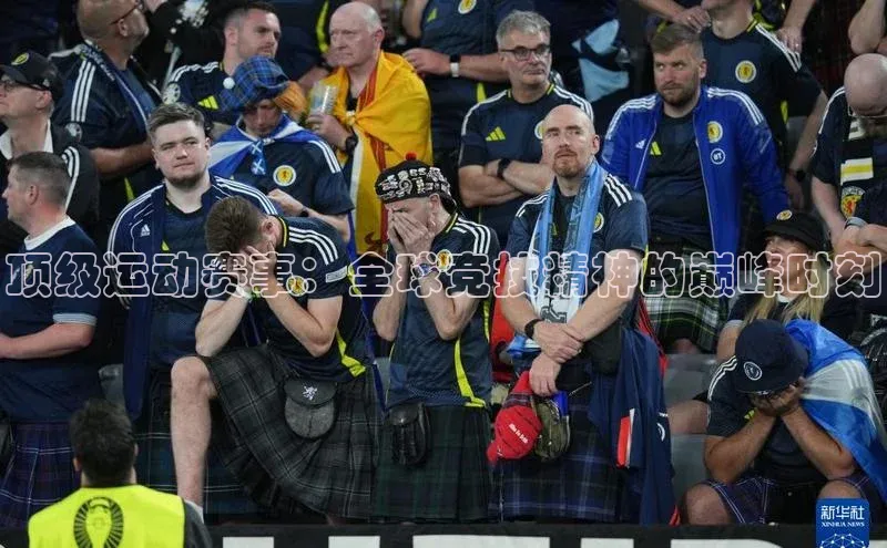 333体育官网app下载