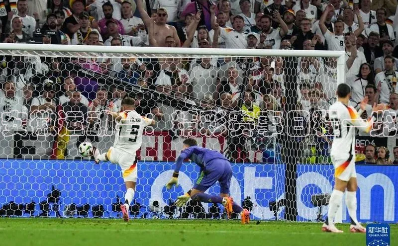 333体育平台App下载