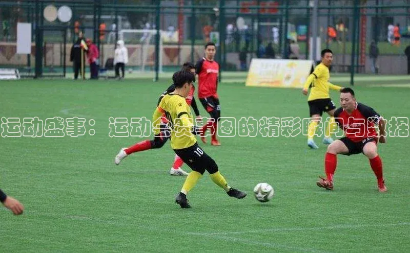 333体育app官方最新版本功能介绍