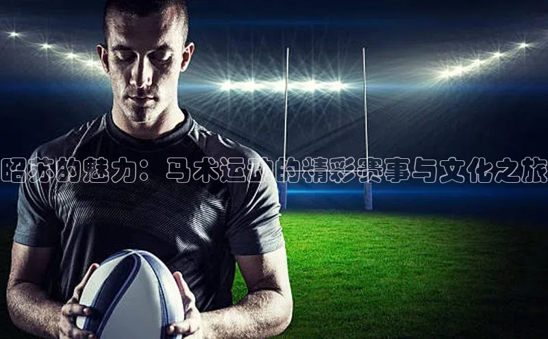 333体育手机版入口