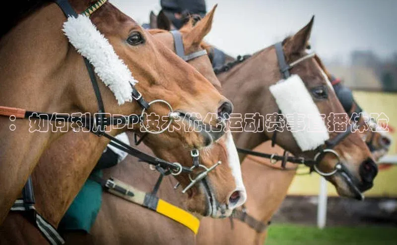 ：如何利用DP技术优化运动赛事直播体验