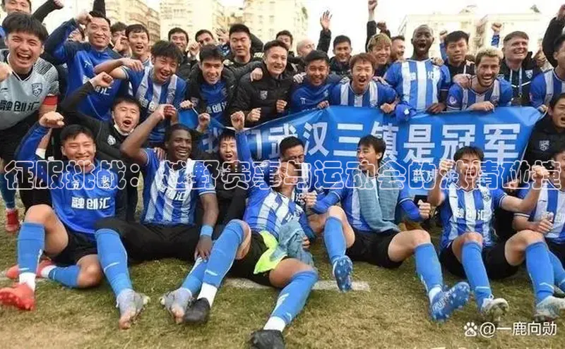 333体育官网入口